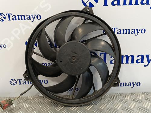 Termoventilador PEUGEOT 206 CC (2D) [2000-2008]  17676193