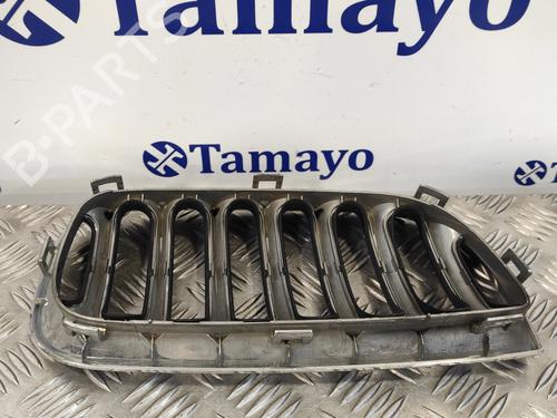 Grille BMW X3 (E83)  | BP12953370C40 