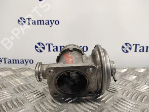 Egr BMW 3 (E46)  | BP17962639M69 