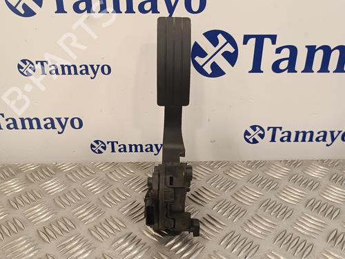 Pedal RENAULT CLIO IV (BH_) 0.9 TCe 90 (BHNF, BHMA, BHMH, BHJK, BHJR) (90 hp) 16443447