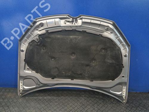 Hood VW GOLF VI (5K1) 1.6 TDI | BP31711252C1 