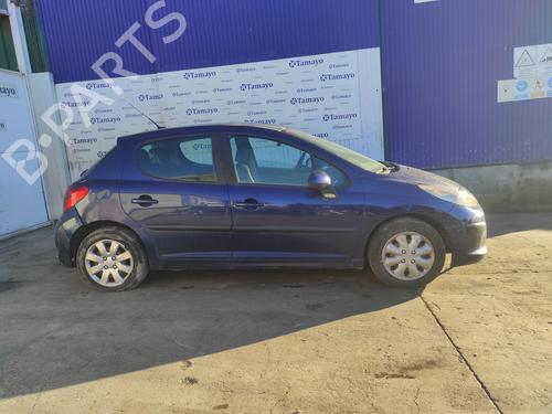 Fuel pump PEUGEOT 207 (WA_, WC_)  | BP22335928M76 