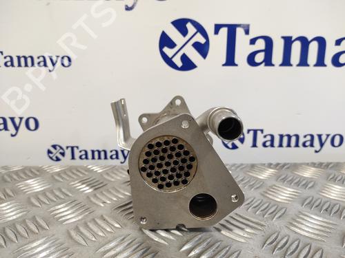 Egr NISSAN NV200 / EVALIA Bus 1.5 dCi 110 (M20, M20M) | BP15737224M69 