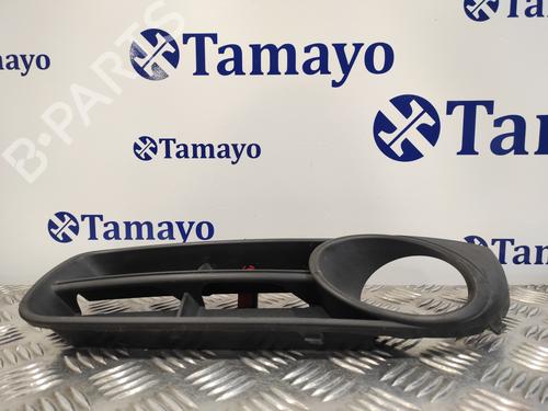 Grille SKODA FABIA II (542) 1.2 | BP15583638C40