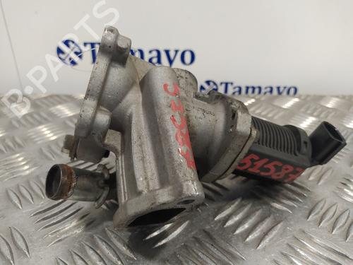 Egr FIAT GRANDE PUNTO (199_)  | BP12553332M69 
