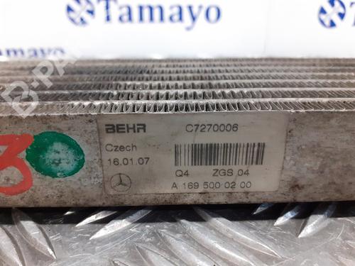 Oil radiator MERCEDES-BENZ B-CLASS Sports Tourer (W245)  | BP9203078M33 