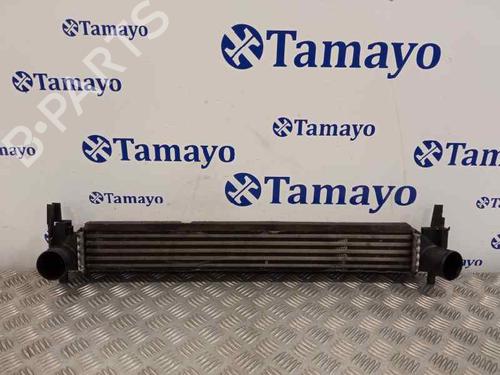 Used Intercooler VW POLO V (6R1, 6C1) 1.4 TDI (90 hp) 24416212