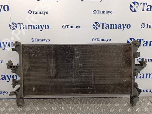 Water radiator FIAT DUCATO Van (250_)  | BP15772417M31 
