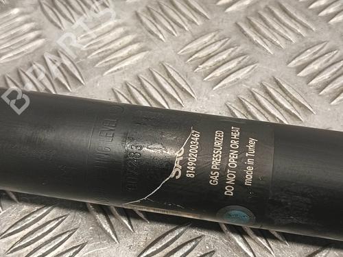Left rear shock absorber NISSAN QASHQAI / QASHQAI +2 I (J10, NJ10, JJ10E)  | BP24288048M18 