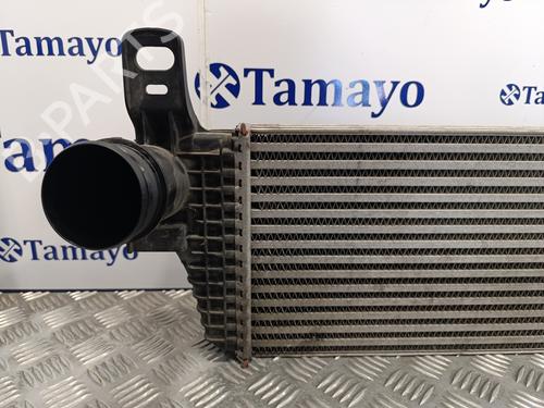 Intercooler VW TRANSPORTER T5 Van (7HA, 7HH, 7EA, 7EH)  | BP18786921M30 