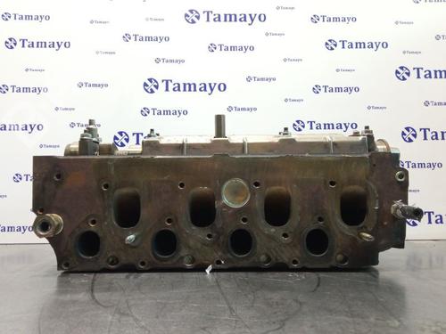 Cylinder head FORD ESCORT V (AAL, ABL)  | BP10970116M5 