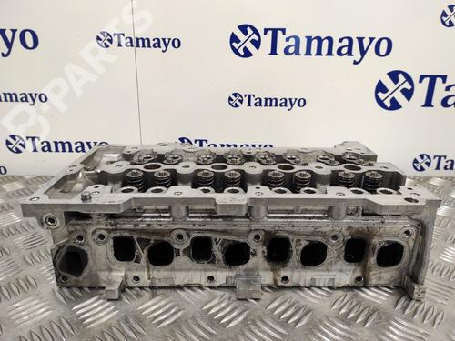 Cylinder head FIAT GRANDE PUNTO (199_)  | BP11789921M5 