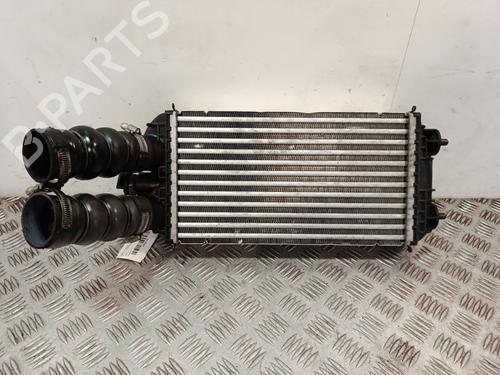 Intercooler Intercooler PEUGEOT 208 II (UB_, UP_, UW_, UJ_) 1.5 BlueHDI 100 (102 hp) 37604110 37604110