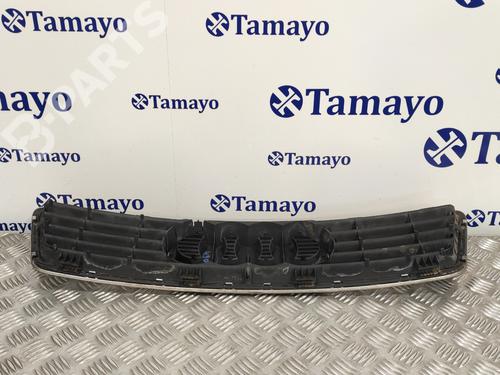 Grille AUDI ALLROAD C5 (4BH) 2.5 TDI quattro | BP10202073C40 
