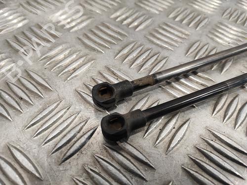 Tailgate lift support VW GOLF IV (1J1)  | BP24288289C138 
