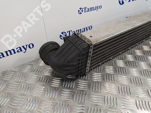 Intercooler MERCEDES-BENZ B-CLASS Sports Tourer (W245)  | BP9203080M30 