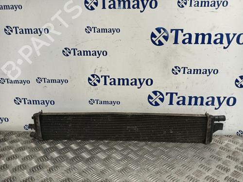 Used Water radiator Water radiator RENAULT MASTER III Platform/Chassis (EV, HV, UV) 2.3 dCi 130 RWD (HV01, HV10, HV11, HV12, UV01, UV10,... (130 hp) 33288806 33288806