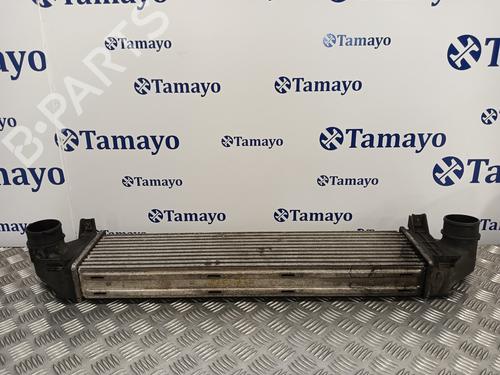 Intercooler LAND ROVER FREELANDER 2 (L359)  | BP13898048M30 