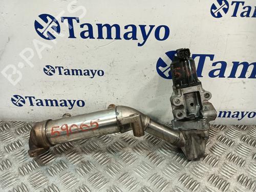 Egr KIA CARNIVAL II (GQ) | BP32396173M69