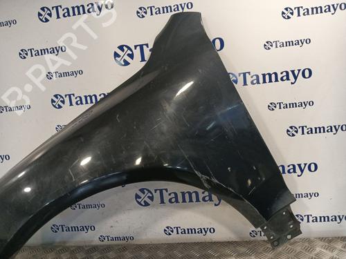 Left front fenders VW TOUAREG (7LA, 7L6, 7L7)  | BP29525729C41 