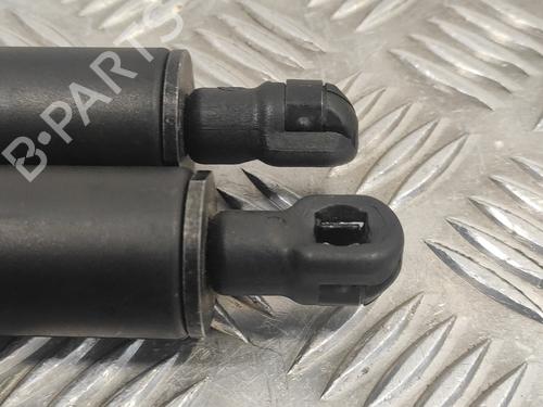 Tailgate lift support PEUGEOT 307 CC (3B) 2.0 HDi 135 | BP14358860C138 
