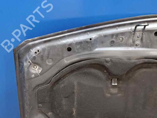 Hood RENAULT MEGANE II Estate (KM0/1_) 1.9 dCi | BP21690427C1 