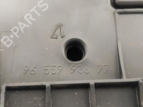 Glove box PEUGEOT 308 I (4A_, 4C_)  | BP13239213C95 
