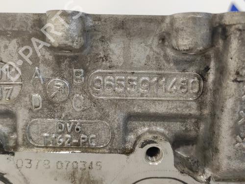 Cylinder head PEUGEOT PARTNER Box Body/MPV (5_, G_)  | BP13921915M5 