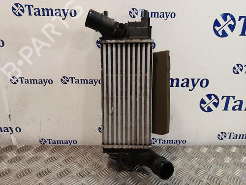 Used Intercooler FORD PUMA (J2K, CF7) 1.0 EcoBoost (125 hp) 32695950