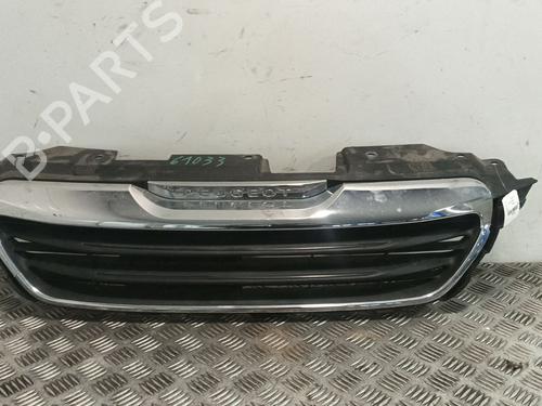 Used Grille Grille 38911213 38911213