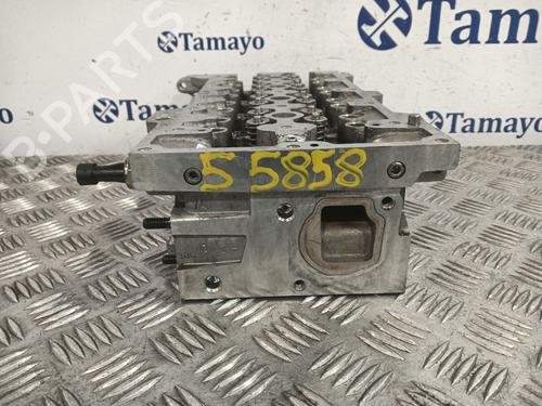 Cylinder head FIAT PANDA (169_) 1.3 D Multijet (169.AXC1A) | BP29175513M5