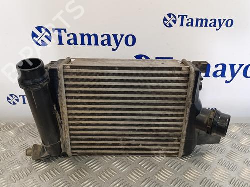 Intercooler DACIA LODGY (JS_) 1.2 TCe (JSAY, JSM0) (115 hp) 17872858