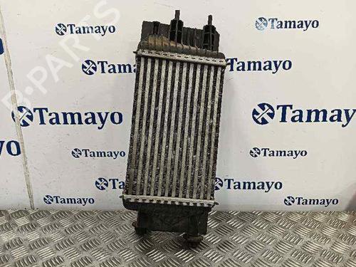 Intercooler NISSAN JUKE (F15)  | BP25432913M30 