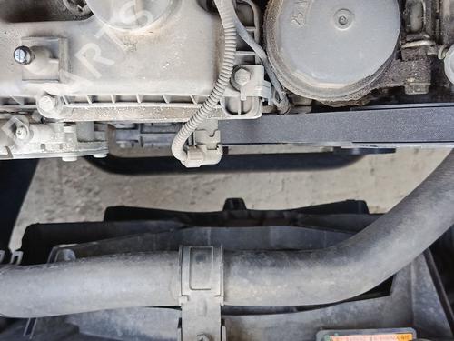 Water radiator SSANGYONG REXTON W / REXTON 2.0 Xdi | BP29405263M31