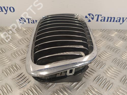 Grille BMW 3 (E46)  | BP17103375C40 