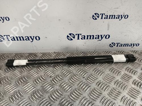 Tailgate lift support OPEL ZAFIRA / ZAFIRA FAMILY B (A05) 1.9 CDTI (M75) | BP29479730C138 