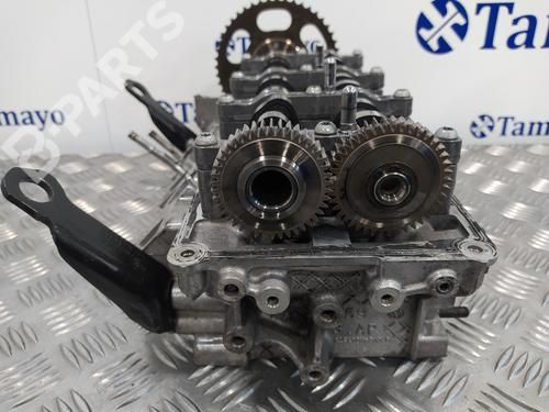Cylinder head AUDI A6 C7 Avant (4G5, 4GD) 3.0 TDI quattro | BP11109961M5 