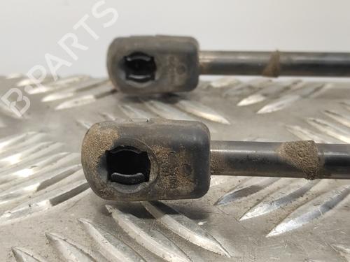 Tailgate lift support CITROËN C4 Picasso I MPV (UD_)  | BP15284817C138 