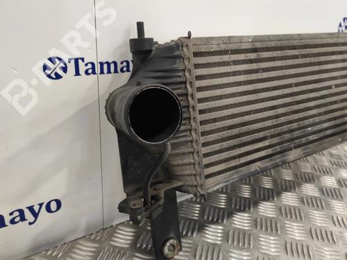 Intercooler NISSAN PATHFINDER III (R51) 2.5 dCi | BP12113315M30 
