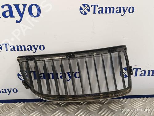 Grille BMW 3 Touring (E91)  | BP20310417C40 