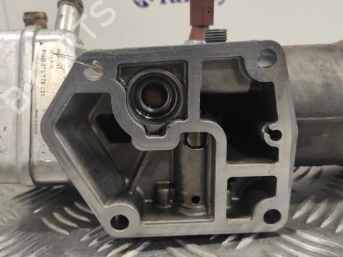 Oil radiator SEAT LEON (1P1) 1.9 TDI | BP14358572M33 
