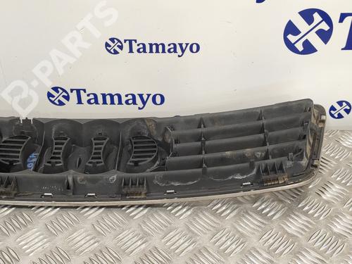 Grille AUDI ALLROAD C5 (4BH) 2.5 TDI quattro | BP10202073C40 