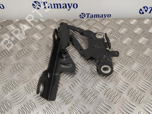 Hinge/Door check strap BMW 1 (F20)  | BP14358128C146 