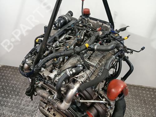 Engine IVECO DAILY VI Van 35S18, 35C18, 40C18, 50C18, 60C18, 65C18, 70C18 | BP34441918M1  - Image 5