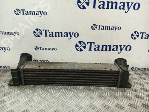 Intercooler BMW 3 (E90) | BP32476033M30