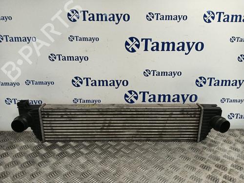 Used Intercooler RENAULT MASTER III Bus (JV) 2.3 dCi 125 FWD (JV0C, JV0D, JV0H, JV0G, JV0J) (125 hp) 30397464