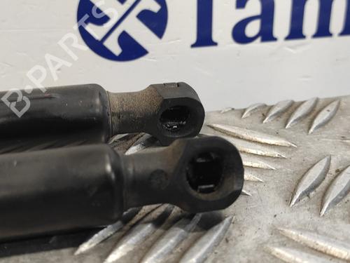 Tailgate lift support RENAULT CLIO IV (BH_)  | BP19341937C138 