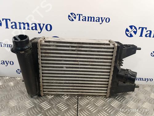 Used Intercooler NISSAN JUKE (F15) [2010-2019]  21176473