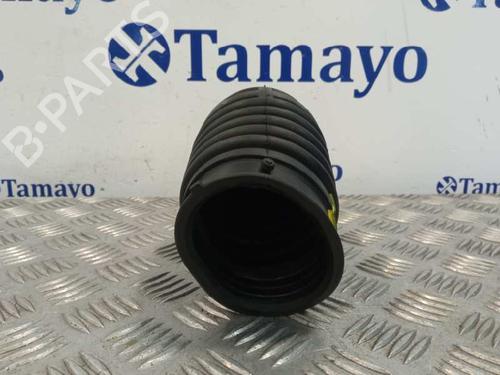 Pipe NISSAN QASHQAI / QASHQAI +2 I (J10, NJ10, JJ10E)  | BP25847582M125 