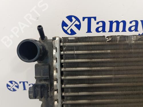 Water radiator SEAT IBIZA IV (6J5, 6P1) 1.6 TDI | BP19324870M31 